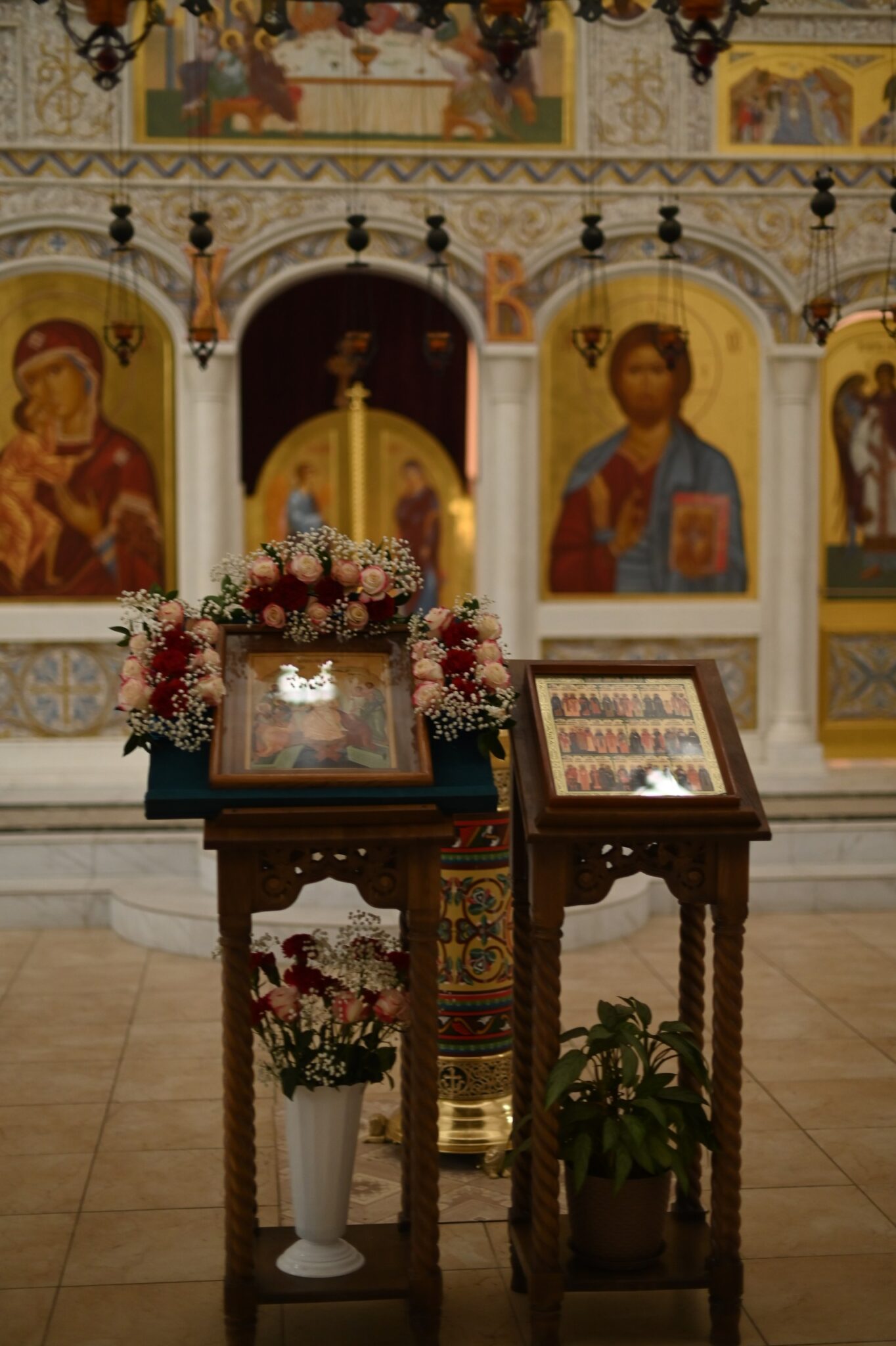 DSC_1369_resized
